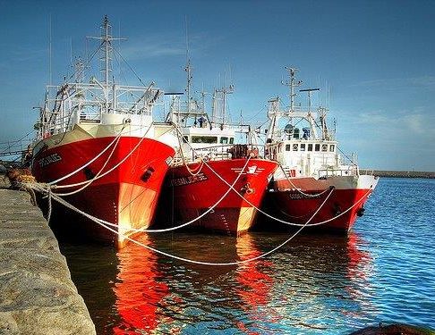 Preven Oil Flota pesquera 3